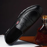 Zanoti Casual Shoes